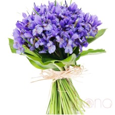 Lovely Blue Bouquet (Regular)
